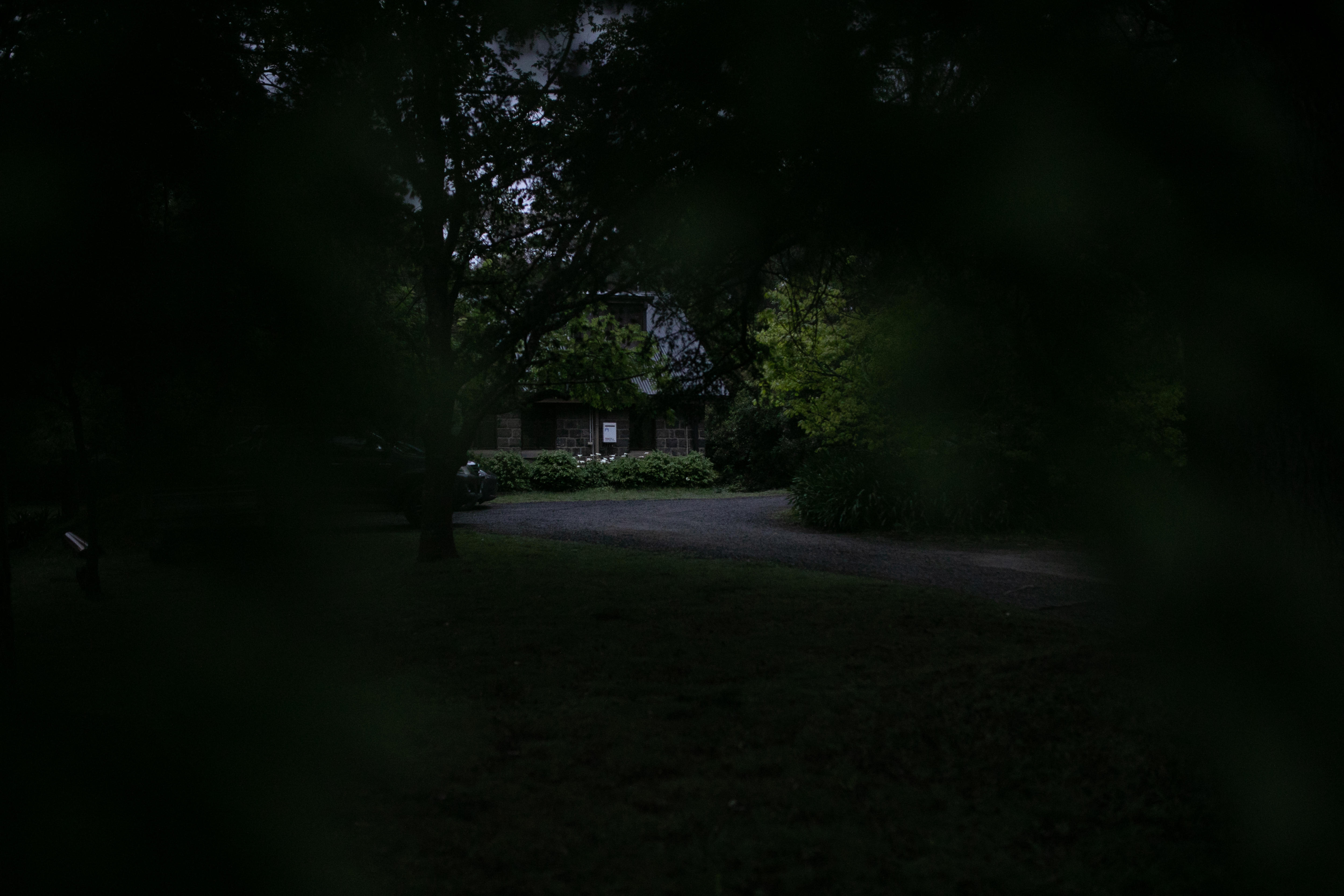 A driveway leading towards a house is seen in partial darkness through foliage