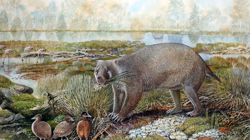 Life reconstruction of the giant wombat relative Mukupirna nambensis on the shores of Lake Pinpa 25 million years ago.
