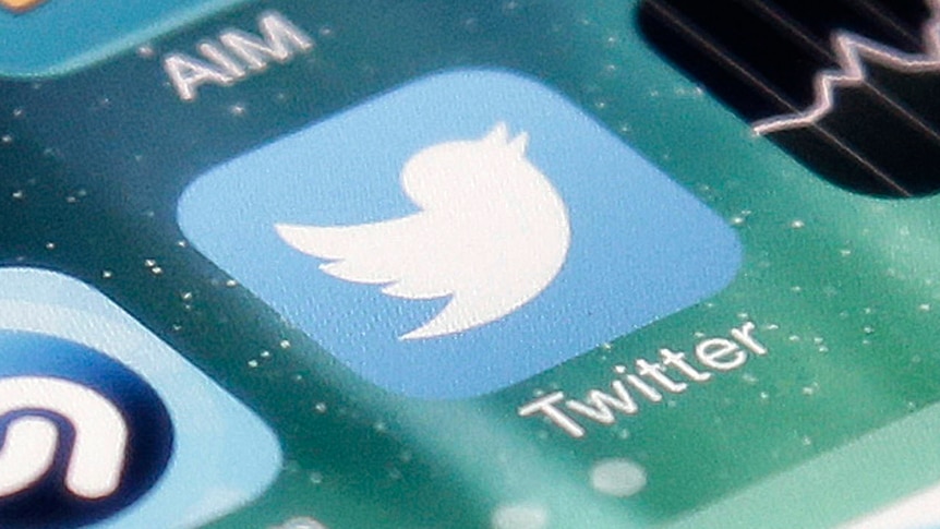The Twitter app icon is seen on an iPhone with a green background.