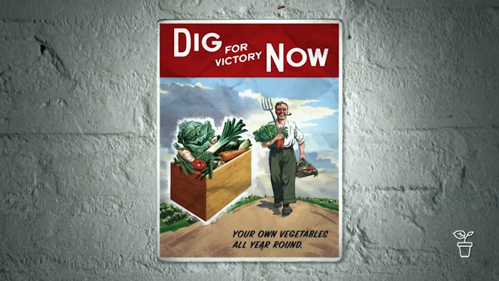 Vintage style postcard with drawing of man carrying gardening fork and vegies with text 'Dig for Victory Now'