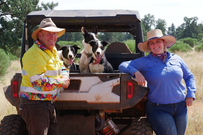 A man and his daughter stand leaning on a farm buggie with their black and white working dogs in the back.