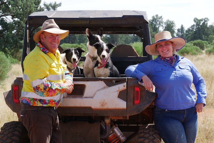 A man and his daughter stand leaning on a farm buggie with their black and white working dogs in the back.