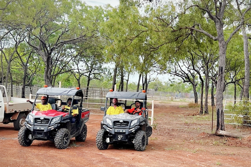 Two buggies with council workers driving them in the bush