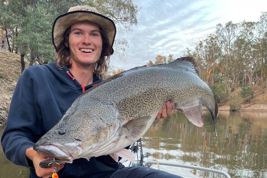 A man on a boat holding a large murray cod