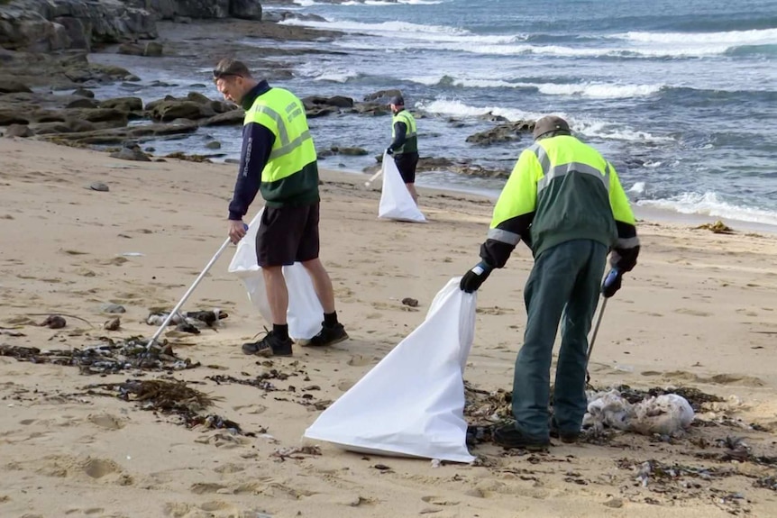 Three men in fluro uniforms pick up rubbish on beach.