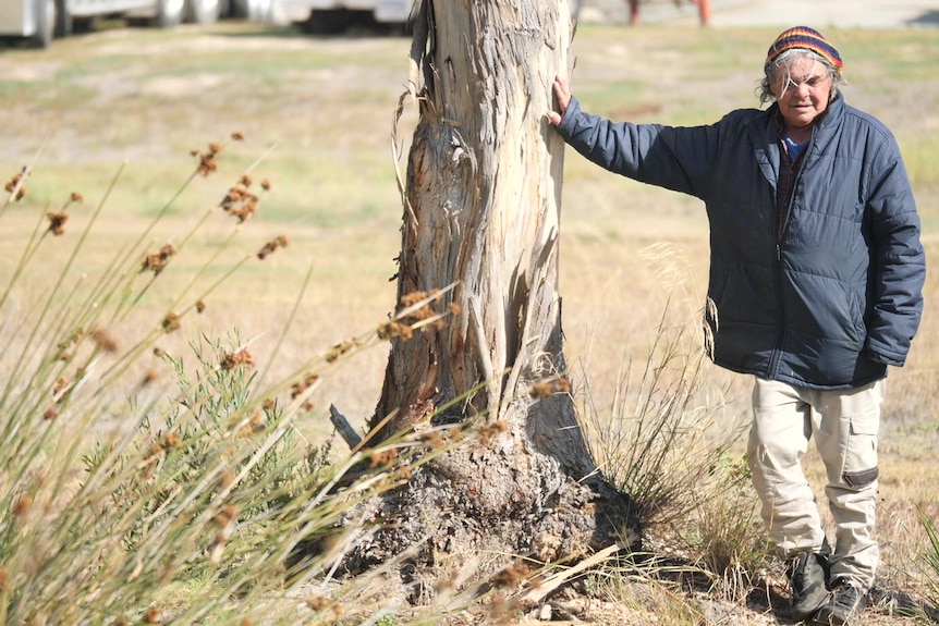 Man on right in coat leaning outstretched arm on large gum tree tree with reeds in foreground left