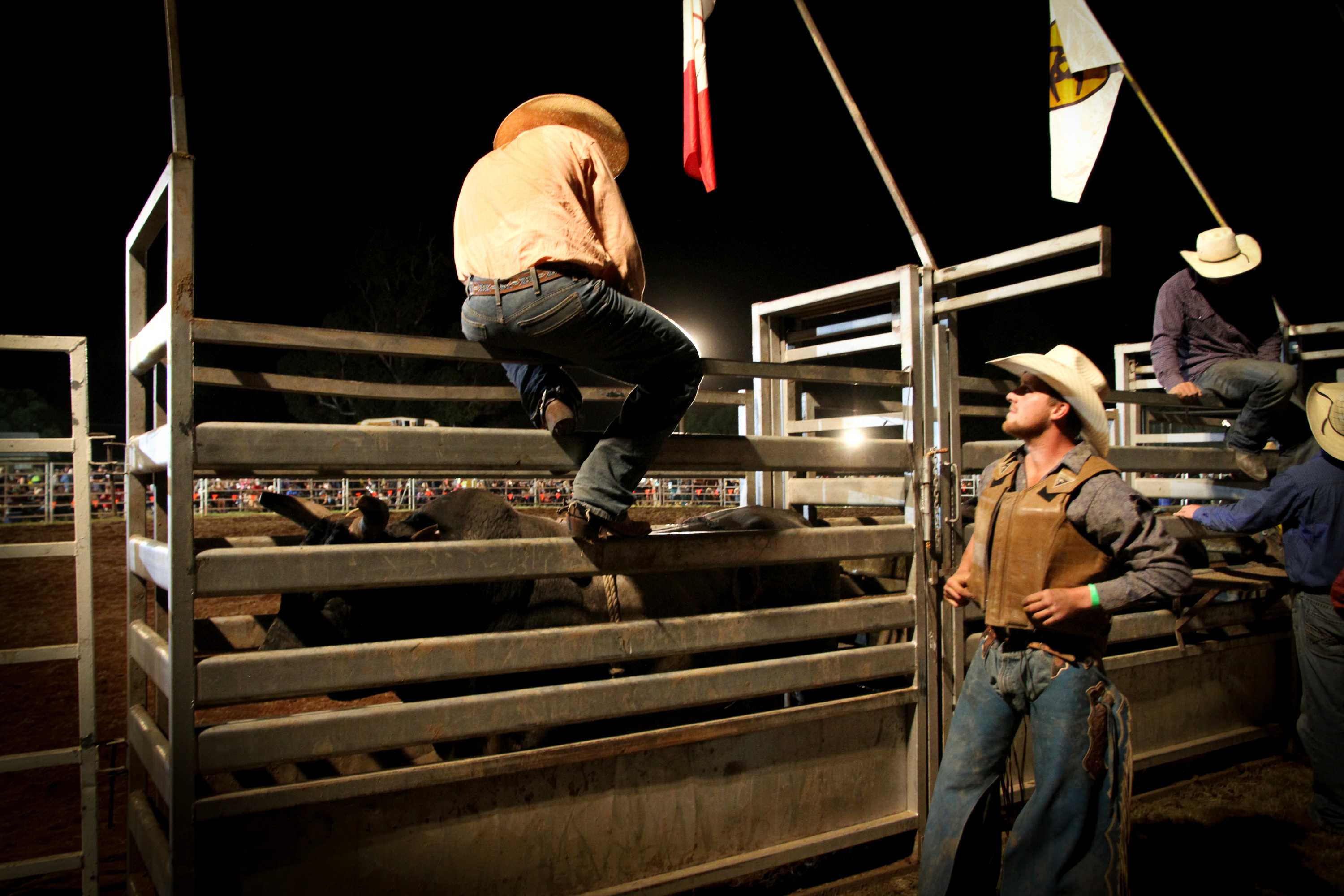 Beer risks running out as punters enjoy the thrills and spills of the ...