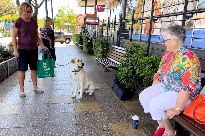 A woman on a bench seat looks at a dog passing by.