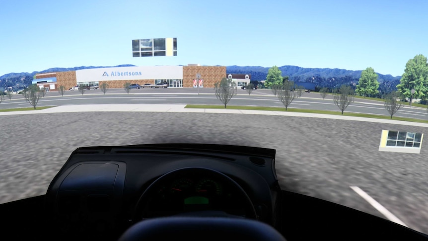 UNSW car simulator
