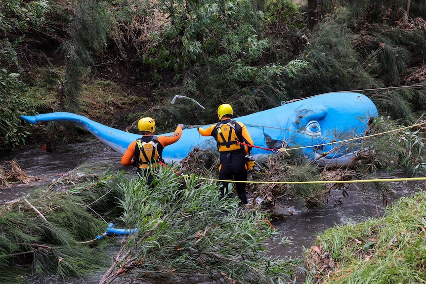 Two people in orange tops and yellow helmets attached by wires in front of a large blue whale sculpture down an embankment