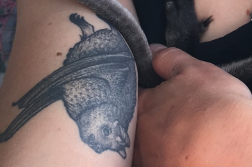 A tattoo of a small bat hanging upside down.