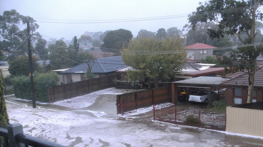 Storm hits suburbs: A street in Melton is filled with hail stones the size of walnuts.