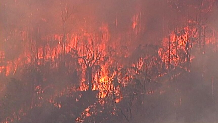 Fire tears through bushland as seen from a helicopter
