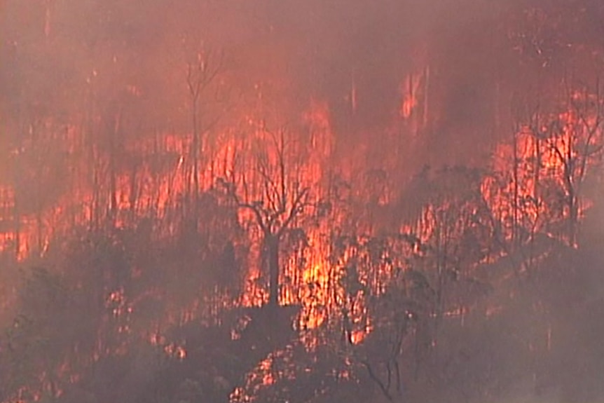 Fire tears through bushland as seen from a helicopter