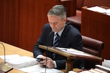 Senator Matthias Corman looks at his phone Senate in Canberra.