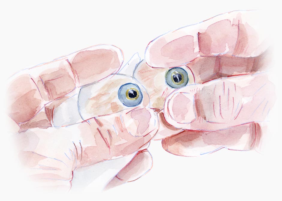 Hands holding two artificial eyes.