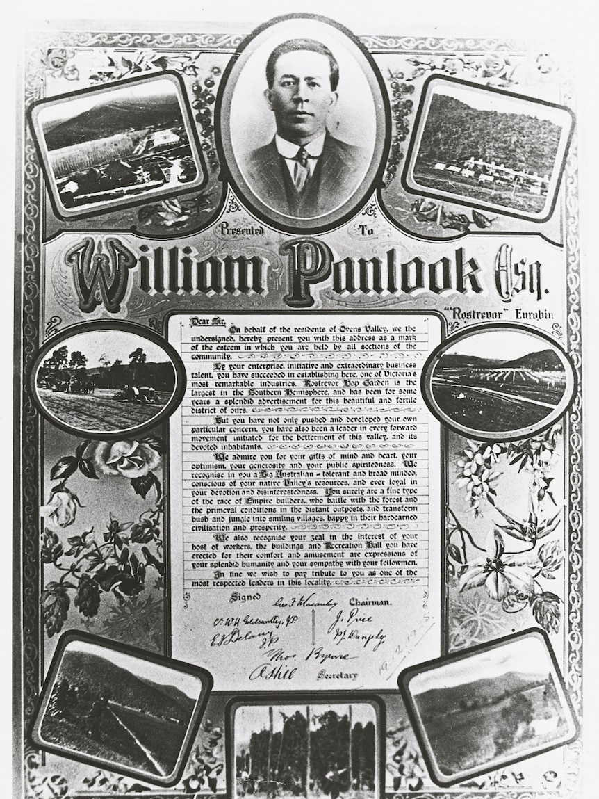 Testimony to William Panlook