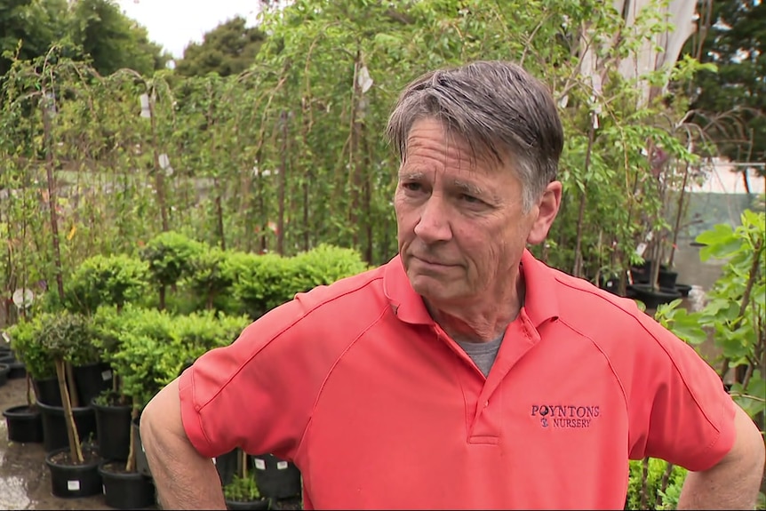 Andrew frowns as he stands among plants and stock in his flooded nursery