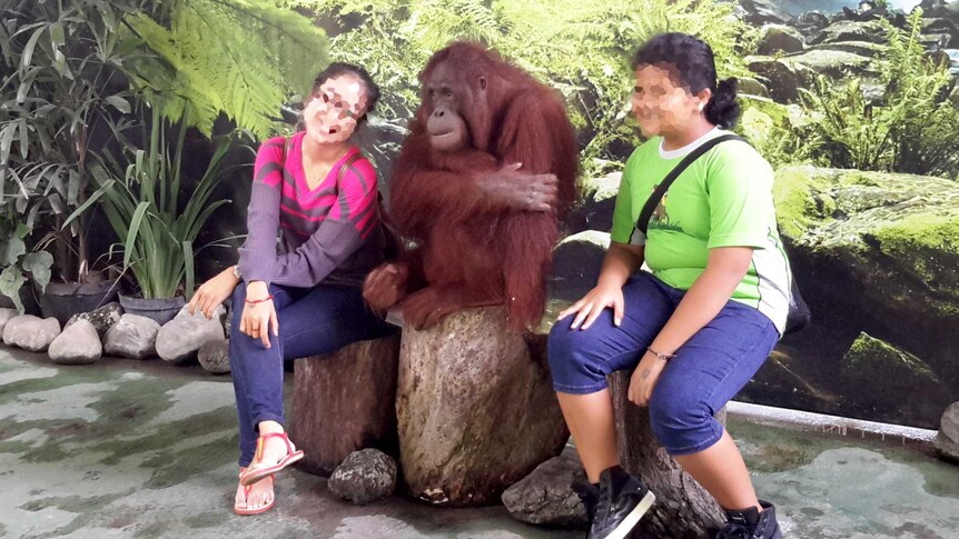 Orangutan poses for photo sitting between two girls