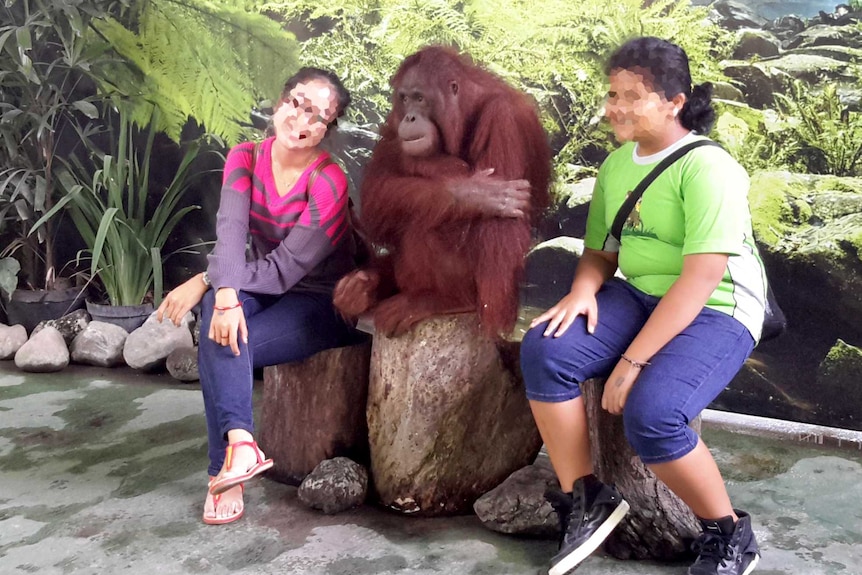 Orangutan poses for photo sitting between two girls