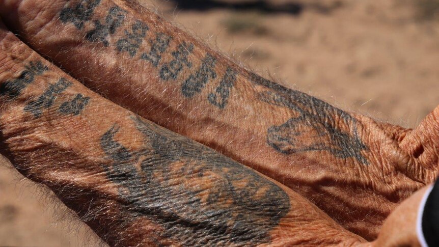 A close up shot of two forearms with tanned weathered skin covered in tattoos.
