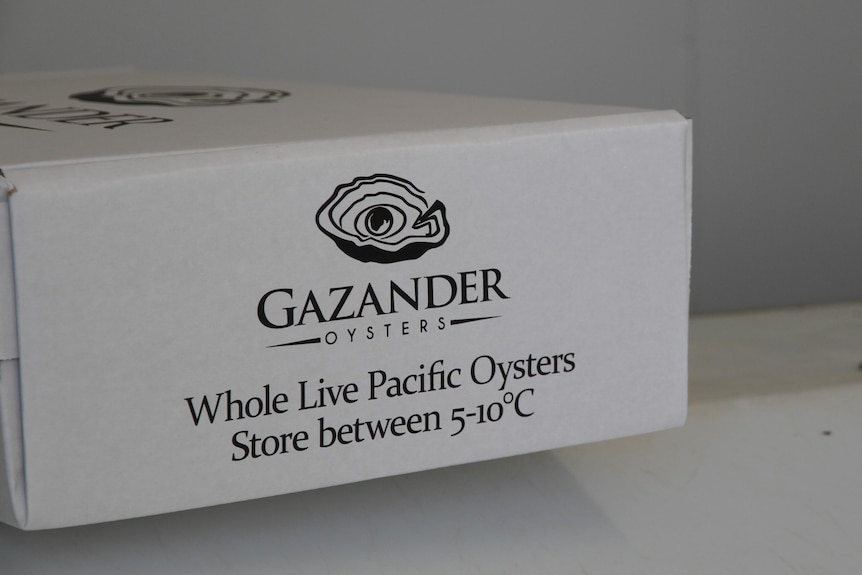 une boîte blanche qui dit en écriture noire Gazander Oysters 