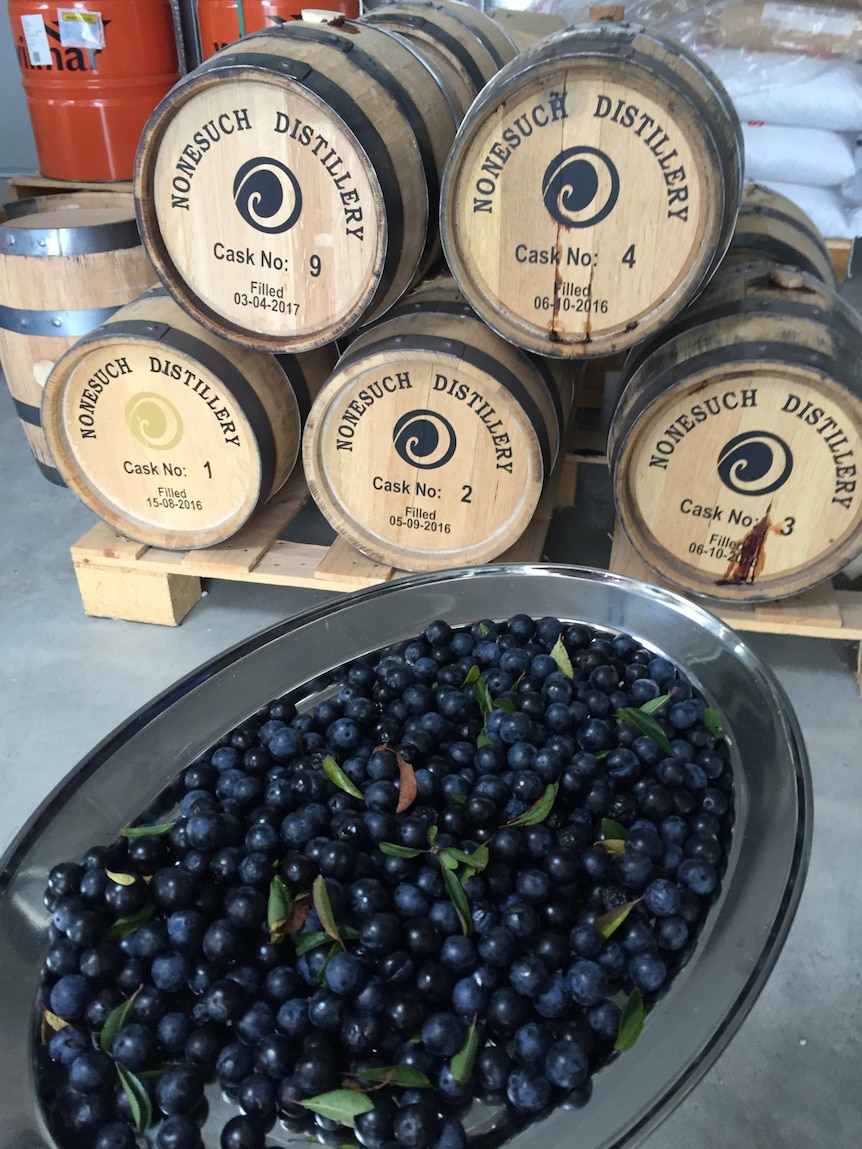 Sloe berries from the Nonesuch Distillery at Dodges Ferry.