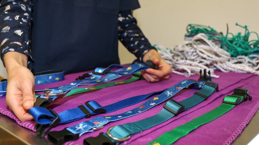 The range of recycled dog collars were made from recycled PET bottles before being turned into yarn.