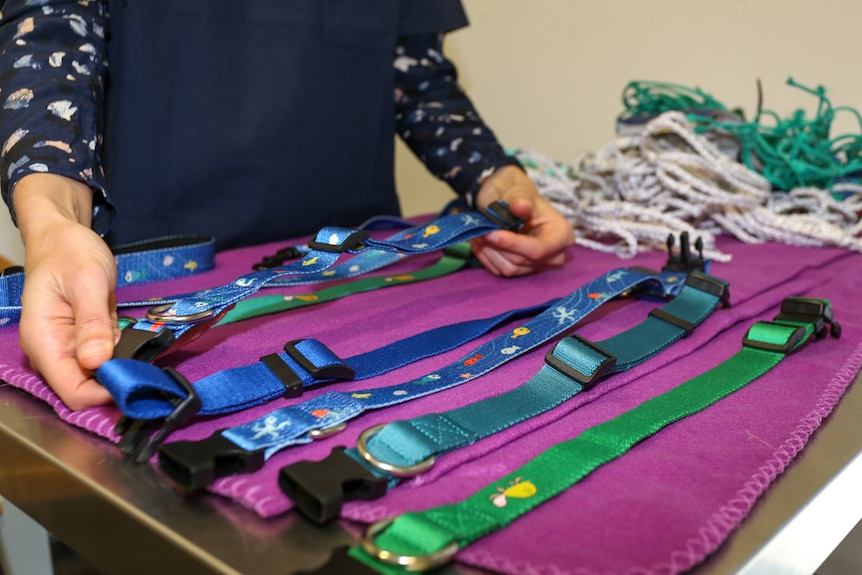 The range of recycled dog collars were made from recycled PET bottles before being turned into yarn.