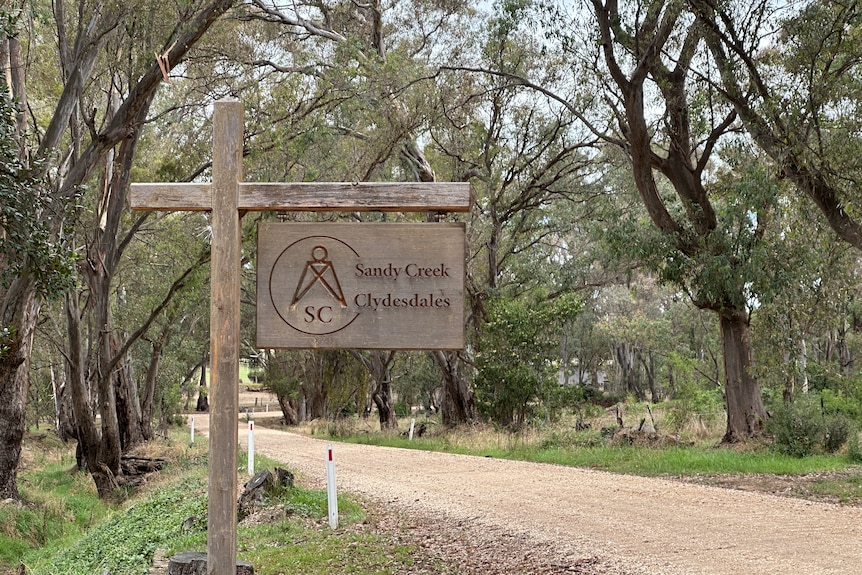 田舎道の脇にある「Sandy Creek Clydesdales」と書かれた木の看板。