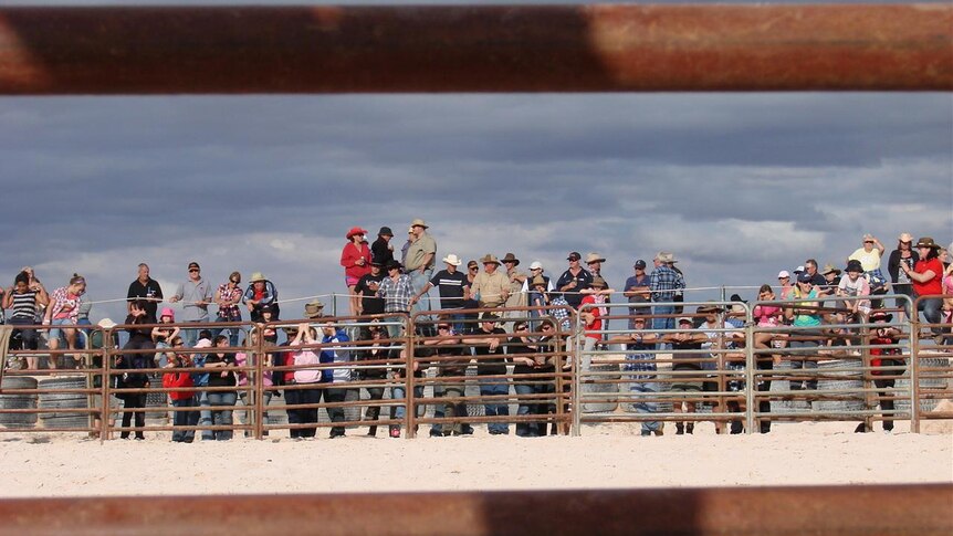 The crowd gathers to watch the bull riding