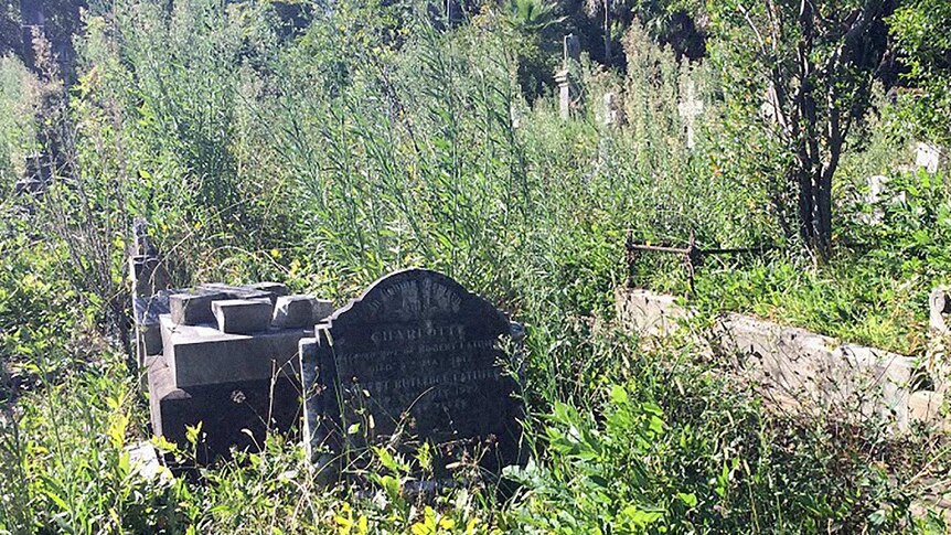 Gore Hill Memorial Cemetery