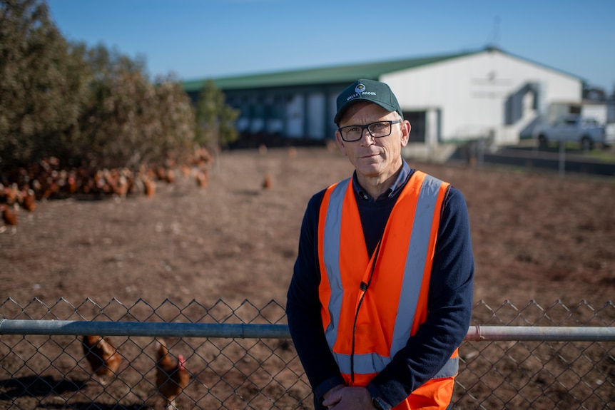 A gentleman in a fluro orange vest stands outside a fenced area with brown chickens trotting around behind him.