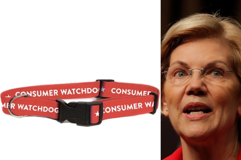 A composite image of 2020 presidential candidate Elizabeth Warren with a dog collar available to buy on her website.