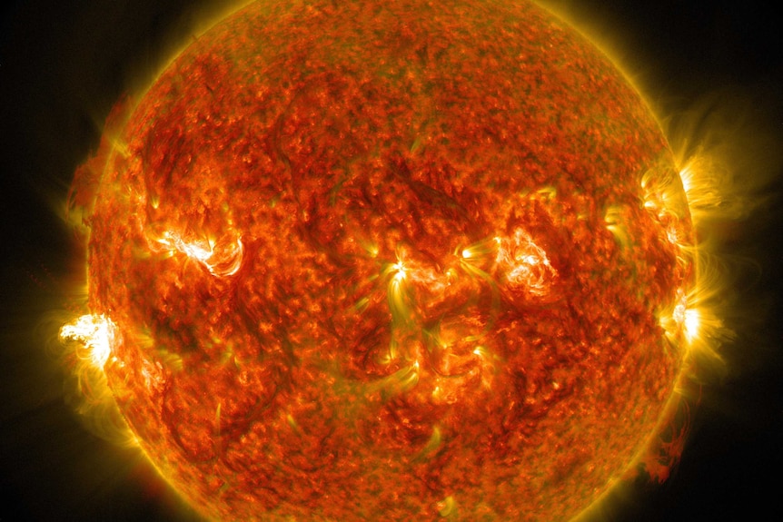 Solar flare erupts from the Sun on August 24, 2014
