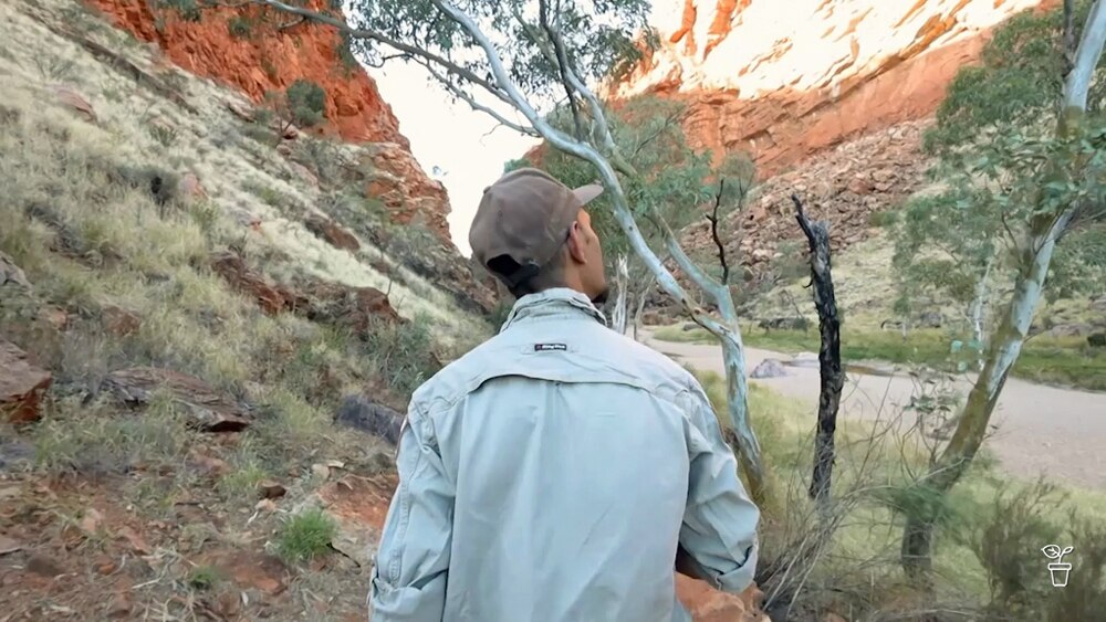 My Garden Path | Dale Campbell and Doug Taylor - Gardening Australia