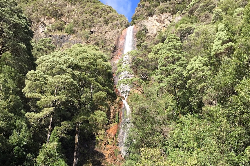 Picture of a tall waterfalls surrounded by green vegetation