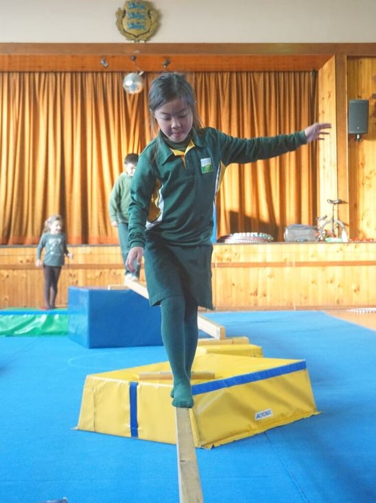 A young girl balancing on a plank of wood