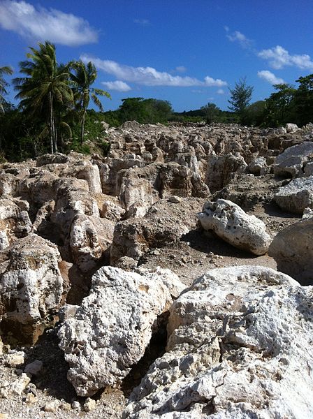 Could the pinnacles of Nauru hold the key to the island's economic ...