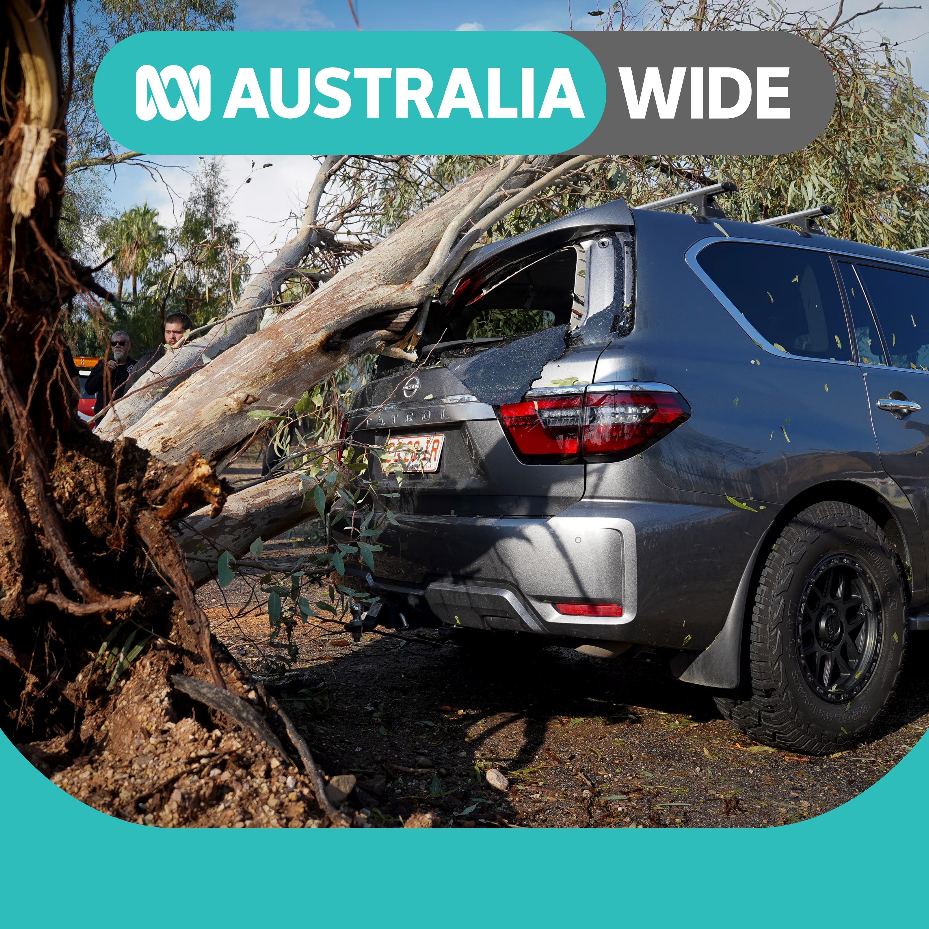 Alice Springs bracing for more storms after 'worst in 40 years'