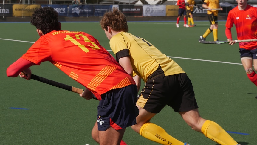 Two men in hockey uniforms battle for the ball