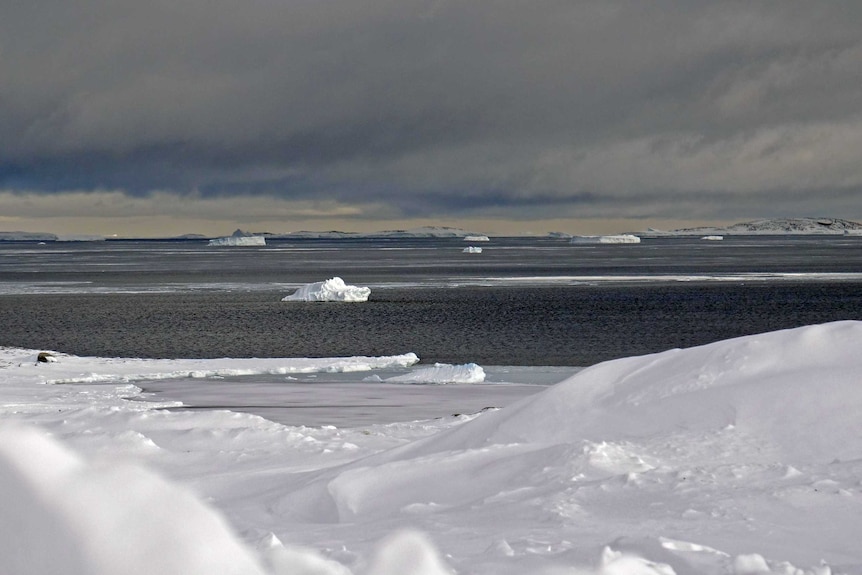 Icebergs floating on the water.