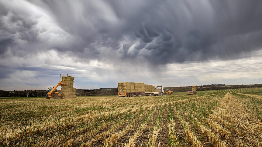 Storm clouds over a harvest hay crop