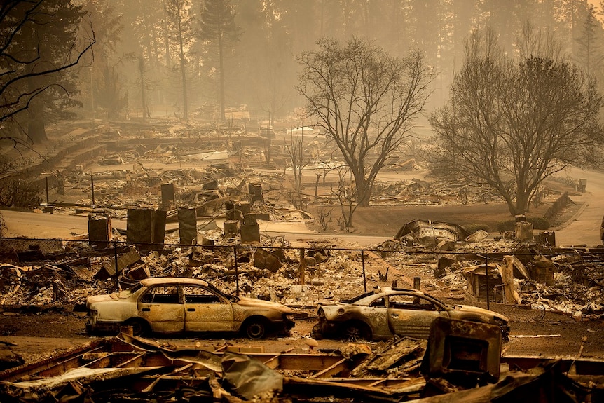 Burned cars sit on streets lined with with charred remains of houses.