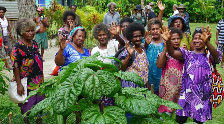 ‘Women are the seed keepers’: How empowering women is key to addressing climate change