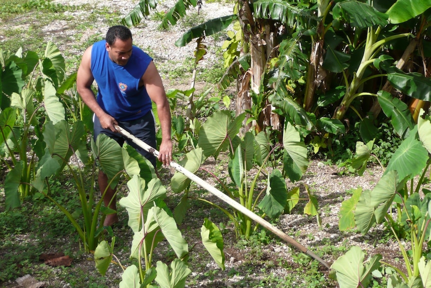 A man using a garden hoe.