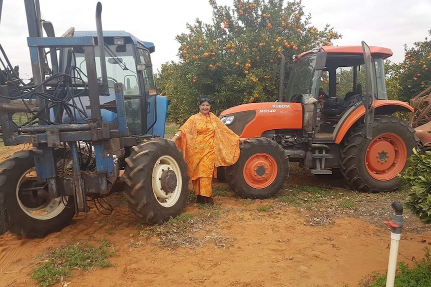 A smiling woman wearing a yellow traditional Indian dress stands near two tractors on an orange farm in South Australia