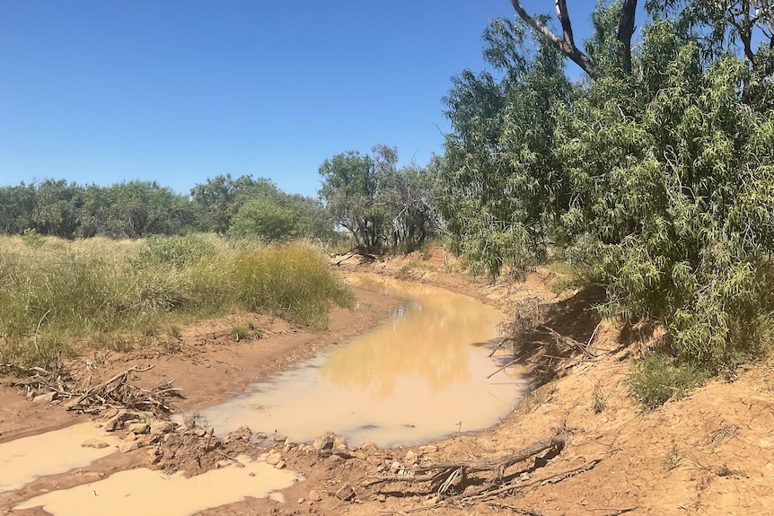 Water steadily flowing through a shallow creek at a property in western Queensland.
