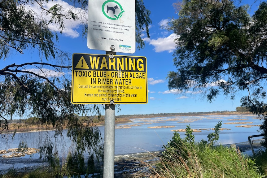 A sign next to a waterway warning of toxic blue-green algae