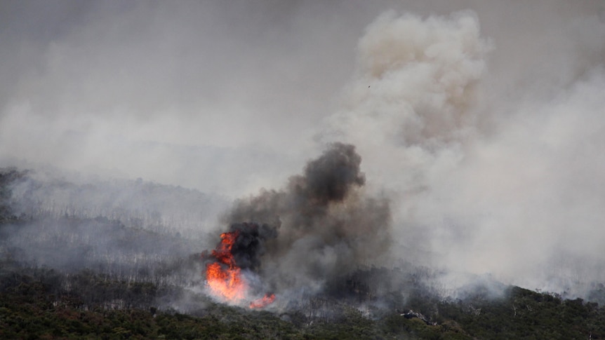 Flames leap skywards from a large bushfire at Prevelly Park ridge near Margaret River.